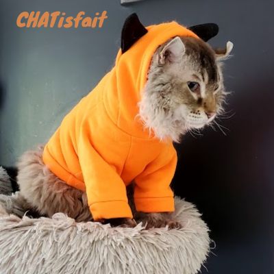 Sublimez votre chat avec un déguisement adorable et drôle pour l'halloween