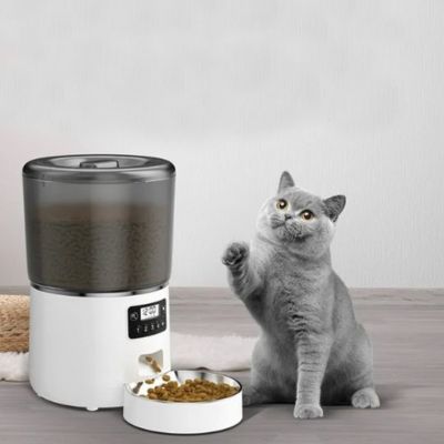 Distributeur de croquettes pour chat | Chatisfait - CHATisfait
