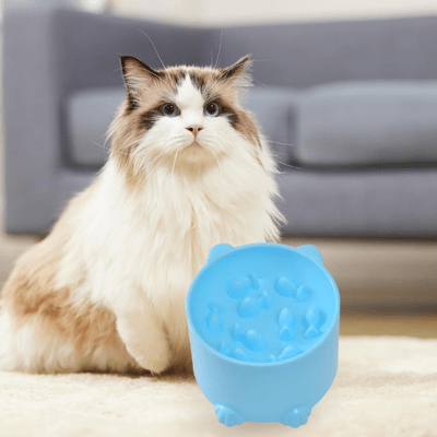 gamelle anti glouton chat | petcomfort - CHATisfait