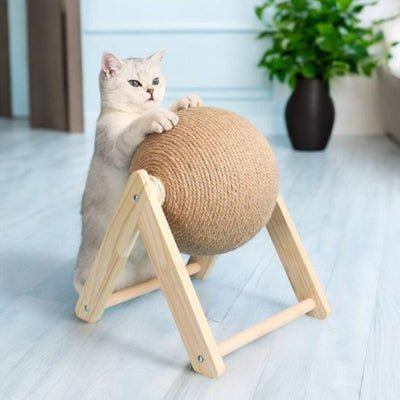 Griffoir-chat-boule V