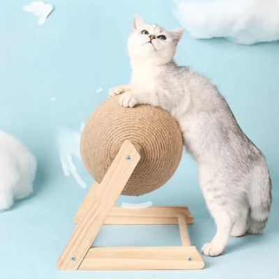 Griffoir-chat-boule-L