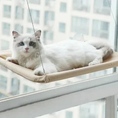 hamac-pour-chat-jaune beige