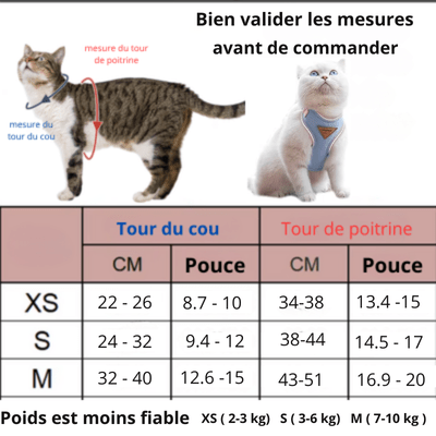Harnais-chat-comment prendre mesure