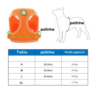 harnais chat tableau des tailles recommandées
