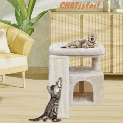 mini-arbre-a-chat-une-niche-pour-chat-beige