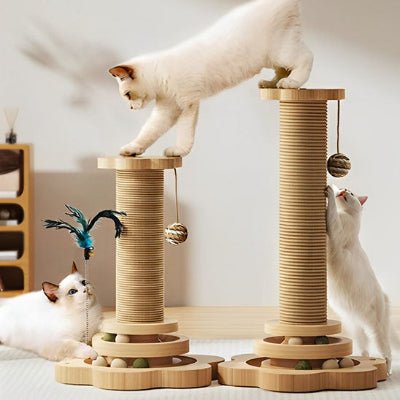 mini-arbre-chat-bois-attraction