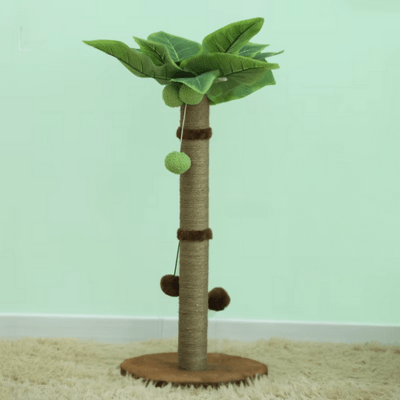 petit-arbre-a-chat-palmier-brun