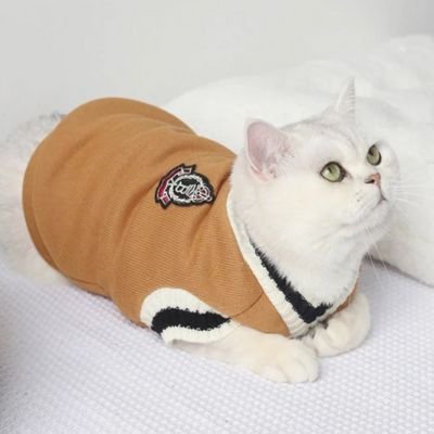 Pull pour chat chic et douillet avec une broderie mode