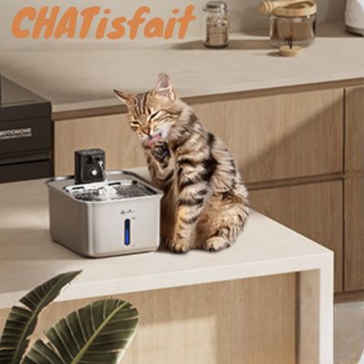 Fontaine à eau pour chat en acier inoxydable  la solution la plus saine et durable !