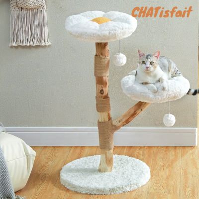 Pourquoi investir dans un arbre à chat Deluxe pour votre félin? | Chatisfait - CHATisfait