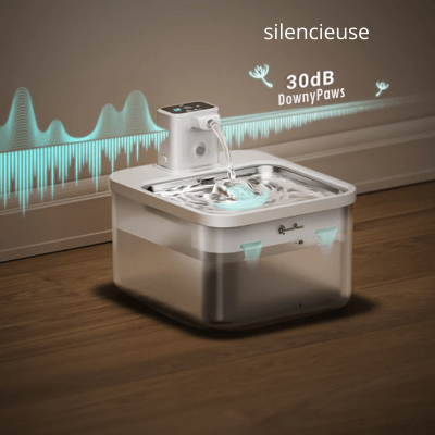 Pourquoi une fontaine à eau pour chat est indispensable - CHATisfait