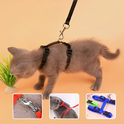 Harnais pour chat noire avec laisse