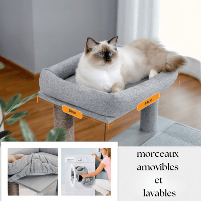 arbre-a-chat-déhoussable-lavable
