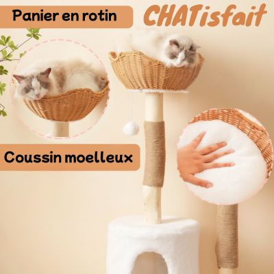 Arbre à chat en bois | Idéal - CHATisfait