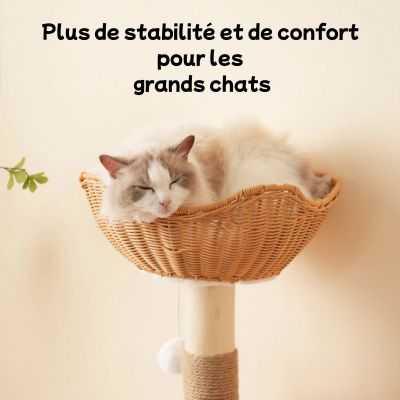 Arbre à chat en bois | Idéal - CHATisfait