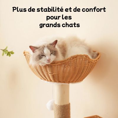 Arbre à chat en bois moderne avec grand panier en rotin