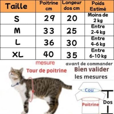 Body chat tableau des tailles