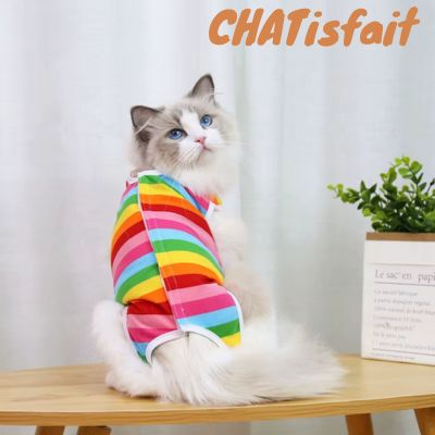 Body chat multi couleur