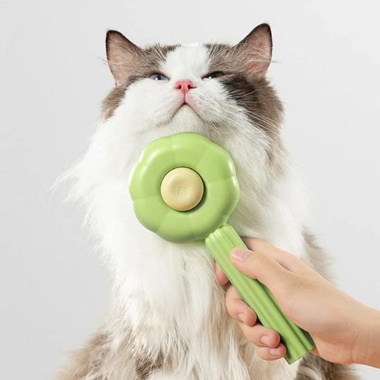 Brosse pour chat | Chatisfait - CHATisfait