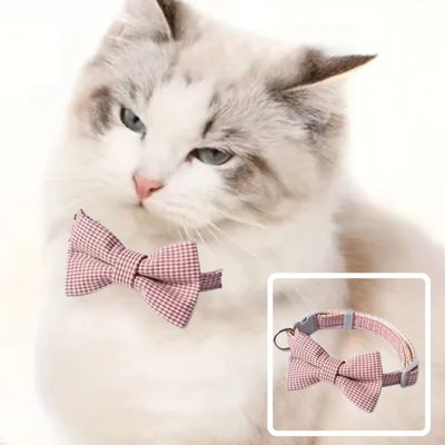 Collier chat | nœud papillon - CHATisfait