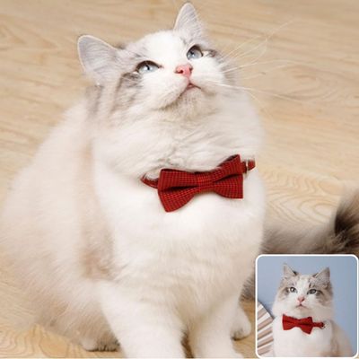 Collier chat | nœud papillon - CHATisfait