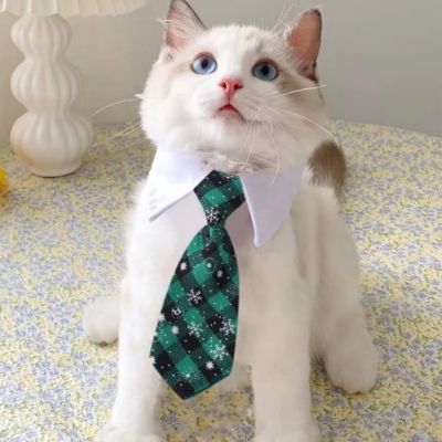 Collier pour chat | Cravate élégante verte avec flocon- CHATisfait