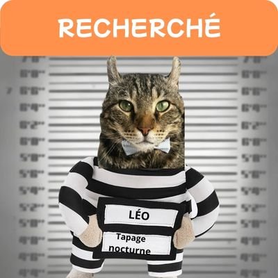 Costume pour chat | Prisonnier - CHATisfait