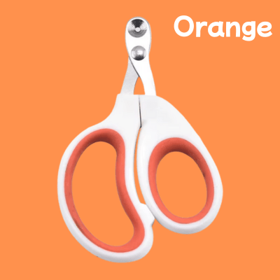 Coupe griffe chat | chatisfait - CHATisfait