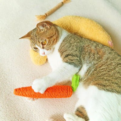 coussin-chat-lune-amusant