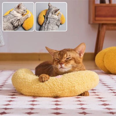 coussin-chat-lune-mignon