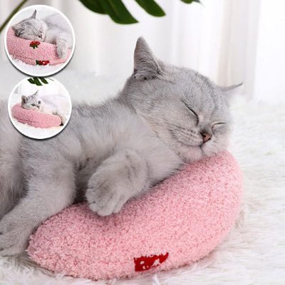 coussin-chat-lune-adoré