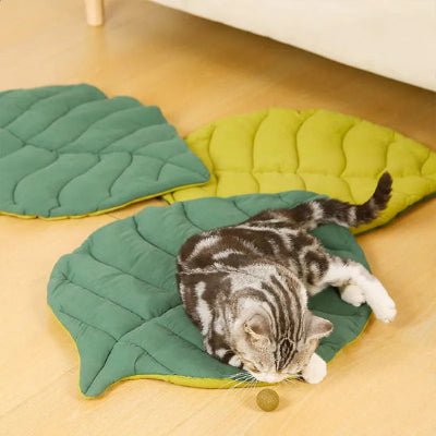 coussin-chat-feuille-douillet