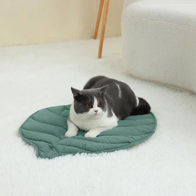 coussin-chat-feuille-mignon