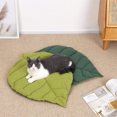 coussin-chat-feuille-déco