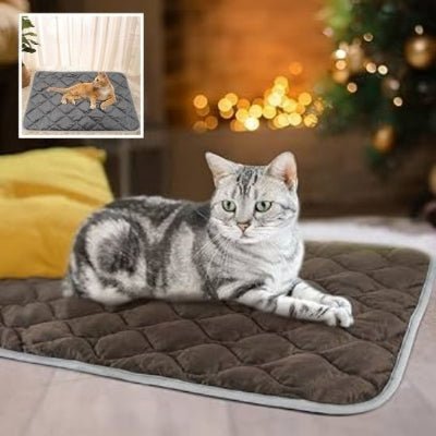 coussin-chauffant-chat-réconfortant