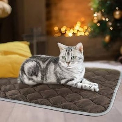 coussin-chauffant-chat-pratique