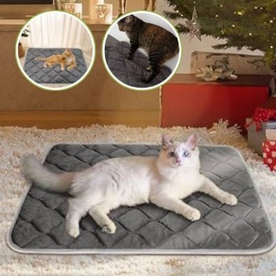 coussin-chauffant-chat-lavable