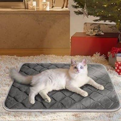 coussin-chauffant-chat-doux