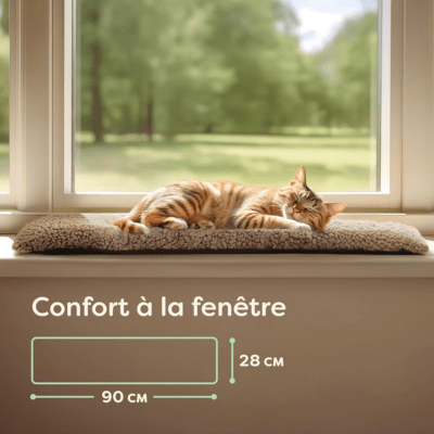 coussin-pour-chat-auto-chauffant-fenêtre-beige