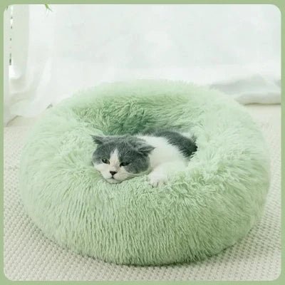 coussin-pour-chat-vert