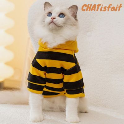 Déguisement pour chat abeille