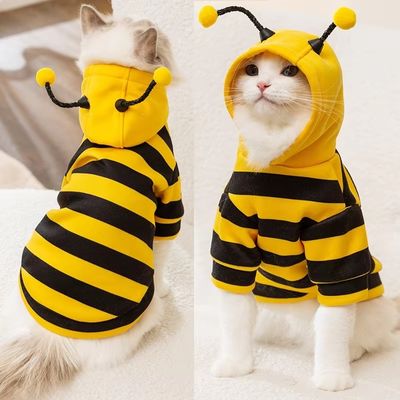 Déguisement pour chat 
abeille vue de devant-et-de-dos