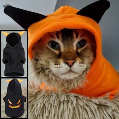 Déguisement pour chat | citrouille endiablée - CHATisfait