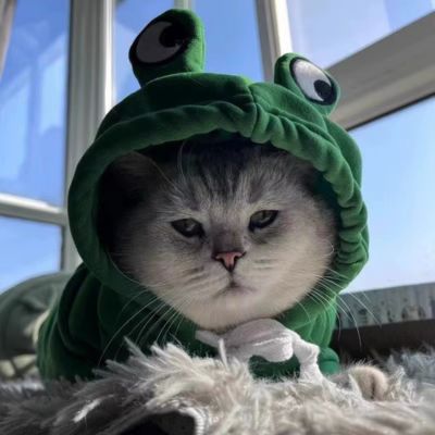 Déguisement pour chat grenouille taille petite
