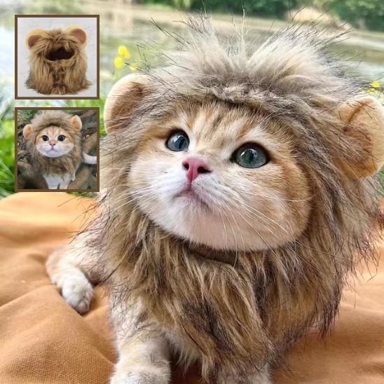 Déguisement pour chat | Le Roi Lion - CHATisfait