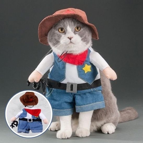 Déguisement pour chat | Moncowboy - CHATisfait