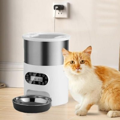 distributeur automatique croquettes chat pour un chat