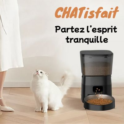 Distributeur de croquettes pour chat noir modèle économique