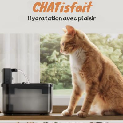 Fontaine a eau pour chat | noire avec plateau en inox