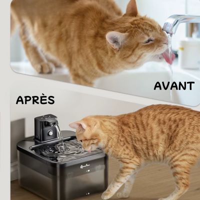 Fontaine a eau automatique noire plus écologique